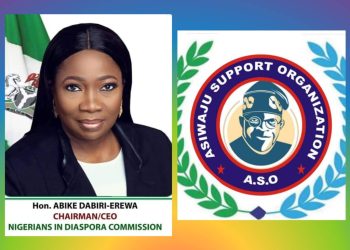 Backlash Trails Steve Osuji’s ‘Dabiri-Erewa Must Resign’ Remark