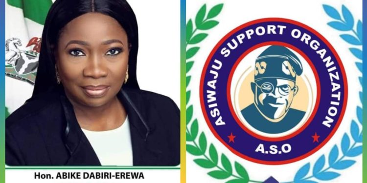 Backlash Trails Steve Osuji’s ‘Dabiri-Erewa Must Resign’ Remark