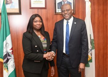 Dabiri-Erewa Applauds CBN, Diasporans as Remittances Triple to $600m Monthly