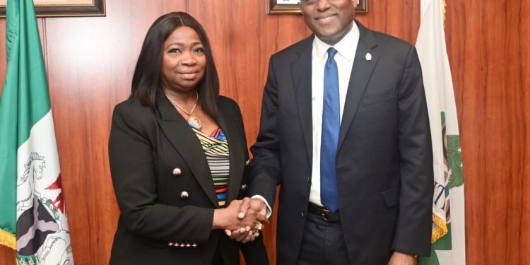 Dabiri-Erewa Applauds CBN, Diasporans as Remittances Triple to $600m Monthly