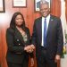 Dabiri-Erewa Applauds CBN, Diasporans as Remittances Triple to $600m Monthly