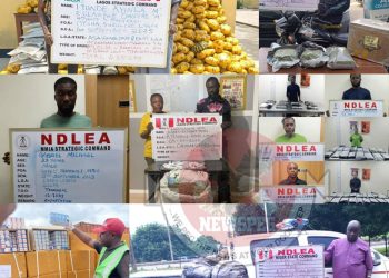 NDLEA Cripples Transnational Drug Syndicate, Arrests Three Kingpins, Seizes Multi-Billion Naira Narcotics Across Nigeria
