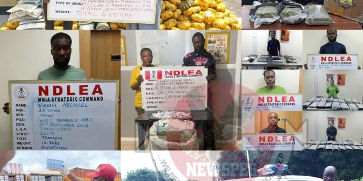 NDLEA Cripples Transnational Drug Syndicate, Arrests Three Kingpins, Seizes Multi-Billion Naira Narcotics Across Nigeria