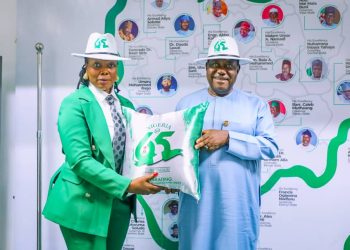 Nigeria at 65: Convener of Historic Compendium Carolyne Isaac Hails SGF’s Office, Shares Inspiration