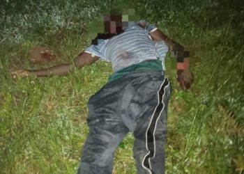 Armed Militia Neutralised After Attempt to Disarm Troops in Plateau