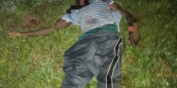 Armed Militia Neutralised After Attempt to Disarm Troops in Plateau