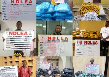 NDLEA Smashes Cocaine Cartels Behind Six UK-Bound Shipments, Arrests Mastermind and Five Others