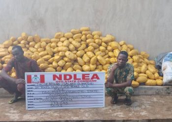 US, UK, DRC-Bound Illicit Drug Consignments Intercepted in Frozen Snails, Electrical Bulbs