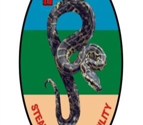 Nigerian Army Mourns Officer Who Died from Injuries Sustained in Domestic Fire Incident