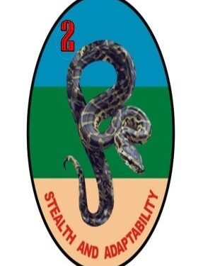 Nigerian Army Mourns Officer Who Died from Injuries Sustained in Domestic Fire Incident