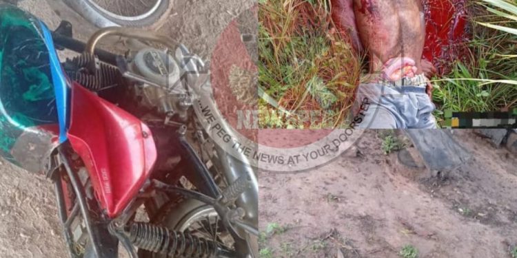 Troops Foil Terrorists’ Plot in Taraba, Neutralize Two and Recover Weapons