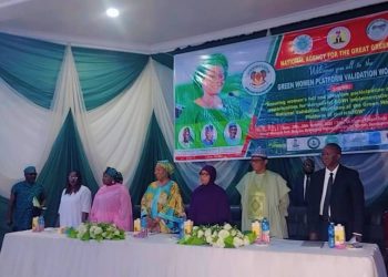 NAGGW Leads Drive for Women-Centered Climate Action as Nigeria Hosts Green Women Platform Validation Workshop