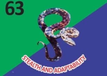 Soldier Subdues Suspected Criminal in Self-Defence During Confrontation in Warri