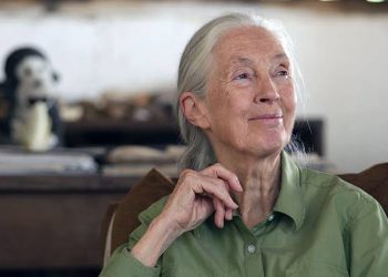 CISLAC/TI-Nigeria Mourns Dame Jane Goodall, Celebrates Her Global Legacy