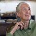 CISLAC/TI-Nigeria Mourns Dame Jane Goodall, Celebrates Her Global Legacy