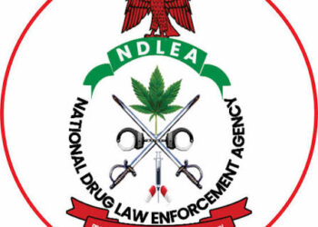 NDLEA Backs Regulated Cannabis Oil Export, Opposes Local Consumption