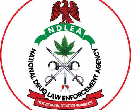 NDLEA Backs Regulated Cannabis Oil Export, Opposes Local Consumption
