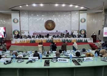 Tinubu to ECOWAS: Declare Resource Theft an International Crime