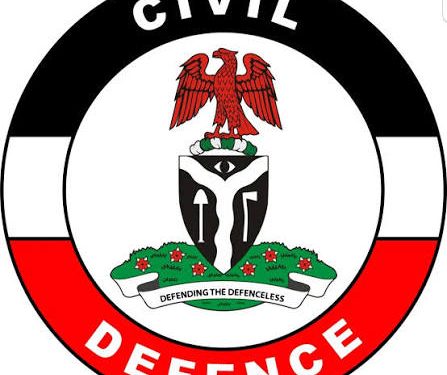 NSCDC Reaffirms Commitment to Protect Critical National Assets as CG Audi Receives NAOSNP Award of Excellence