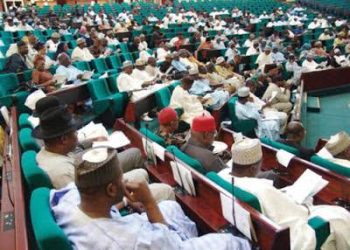 Reps Push Diaspora Voting Bill as FG, NiDCOM Deepen Global Engagement with Nigerians Abroad