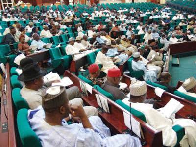 Reps Push Diaspora Voting Bill as FG, NiDCOM Deepen Global Engagement with Nigerians Abroad