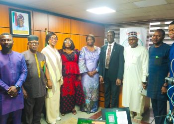 Diasporas to Enjoy Tax Holidays and Incentives Under New Fiscal Reforms – Oyedele