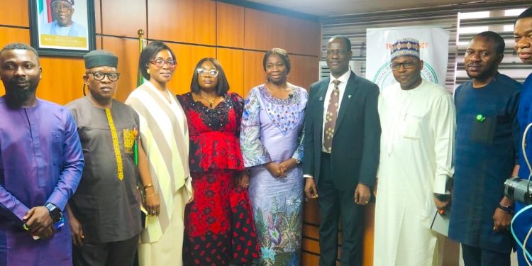 Diasporas to Enjoy Tax Holidays and Incentives Under New Fiscal Reforms – Oyedele