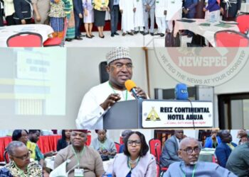 Nigeria, Qatar Deepen Partnership to Combat Illicit Drug Trafficking as Marwa Seeks Support for Rehabilitation Facilities