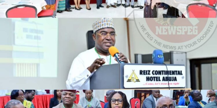 Nigeria, Qatar Deepen Partnership to Combat Illicit Drug Trafficking as Marwa Seeks Support for Rehabilitation Facilities