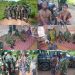 GOC 2 Division Leads Troops to Rescue Kidnap Victims in Kwara