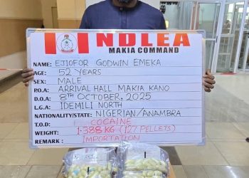 NDLEA Arrests Businessman with 127 Cocaine Wraps, Uncovers Meth and Other Drugs in Export Busts