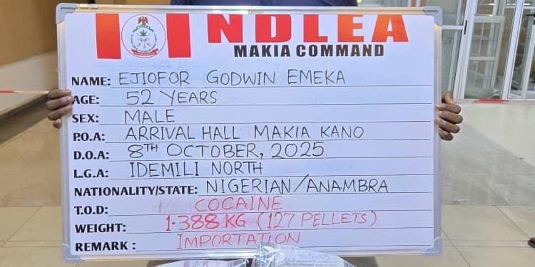 NDLEA Arrests Businessman with 127 Cocaine Wraps, Uncovers Meth and Other Drugs in Export Busts