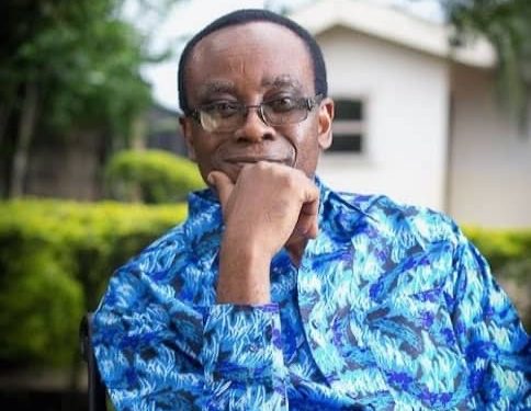 Right Livelihood Foundation Welcomes Nigerian Environmentalist Nnimmo Bassey to Its Board