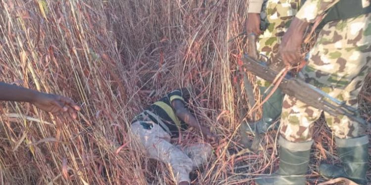 Troops Ambush Terrorists in Borno, Kill 10, Recover Weapons in Renewed Offensive