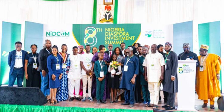 Shettima, lawmakers and Dabiri-Erewa rally diaspora for stronger partnerships to accelerate national development