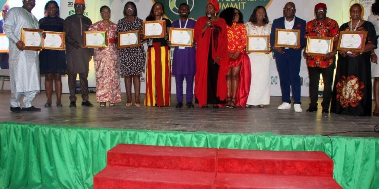 Diaspora investors target high-growth sectors as NDIS 2025 showcases Nigeria’s most scalable business opportunities