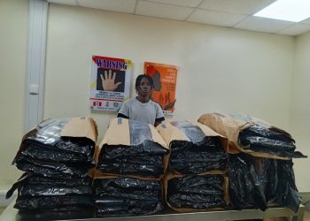 NDLEA Uncovers Synthetic Drug Lab in Lagos, Arrests Artist and Smashes Cartels in Sweeping Nationwide Raids