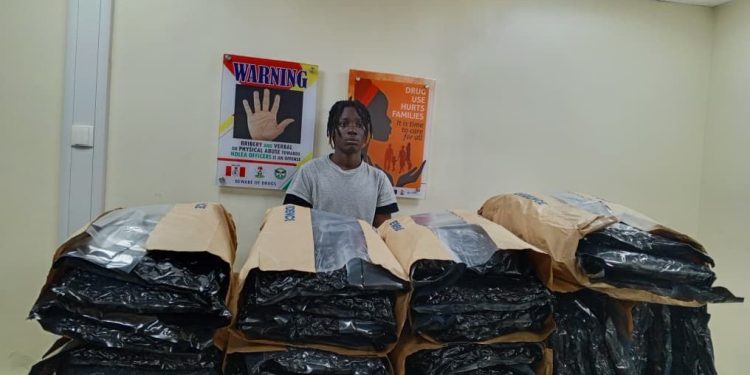 NDLEA Uncovers Synthetic Drug Lab in Lagos, Arrests Artist and Smashes Cartels in Sweeping Nationwide Raids