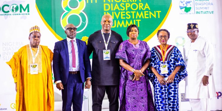 Diaspora investors chart bold pathways for national growth at NDIS 2025