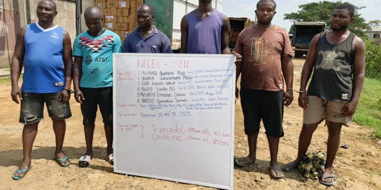 NDLEA Dismantles Major Lagos Drug Cartel, Seizes N6.7 Billion Opioids And Arrests Notorious Baron