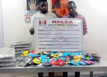 NDLEA busts cartel packaging drugs as Christmas cookies, arrests distributors across Lagos and other states