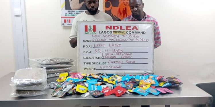 NDLEA busts cartel packaging drugs as Christmas cookies, arrests distributors across Lagos and other states