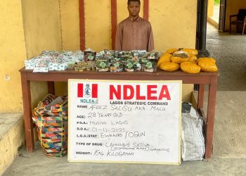 NDLEA Uncovers Fake Medicinal Cannabis Syndicate in Lagos, Warns Public Against Deadly Substances