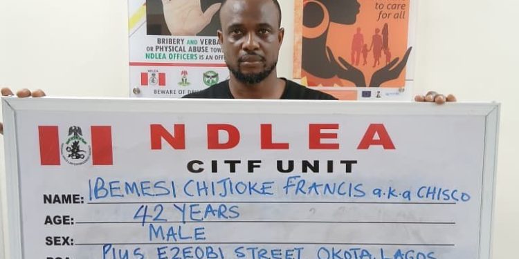 Ndlea Arrests Wanted Drug Baron, Uncovers Massive Drug Warehouses And Cash Stockpiles In Lagos, Osun And Six Other States