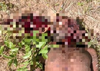 Troops Repel Bandits’ Invasion in Kano, Neutralize 19 in Shanono Encounter