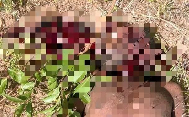 Troops Repel Bandits’ Invasion in Kano, Neutralize 19 in Shanono Encounter