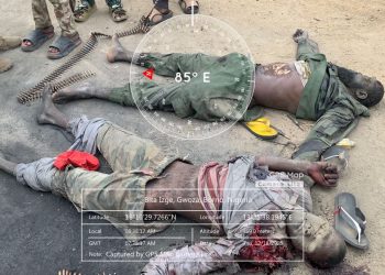 Troops foil terrorist incursion from Mandara Mountains, neutralise commander in Bitta encounter