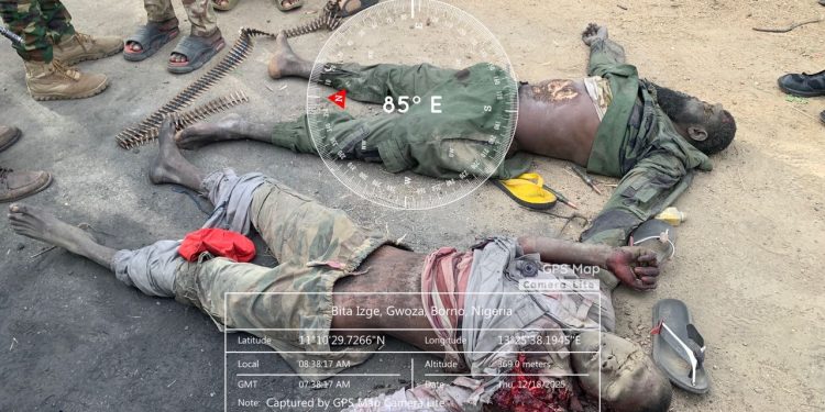 Troops foil terrorist incursion from Mandara Mountains, neutralise commander in Bitta encounter