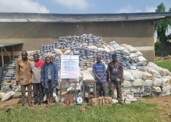 NDLEA Raids Across Nine States Yield 7.6 Million Tramadol Pills, 76,273kg of Cannabis as Drug Warehouses Are Destroyed in Ekiti, Ondo Forests