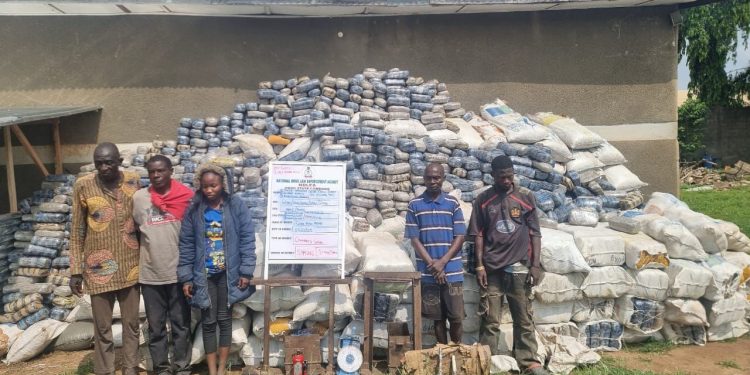 NDLEA Raids Across Nine States Yield 7.6 Million Tramadol Pills, 76,273kg of Cannabis as Drug Warehouses Are Destroyed in Ekiti, Ondo Forests